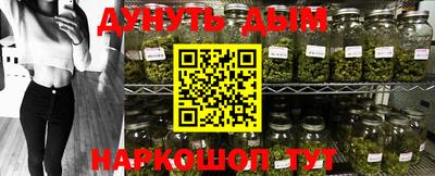 гашик Берёзовский