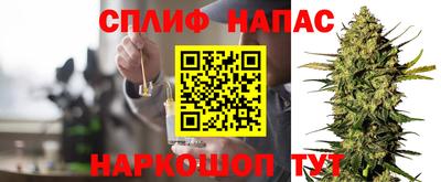 гашик Берёзовский