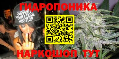 гашик Берёзовский
