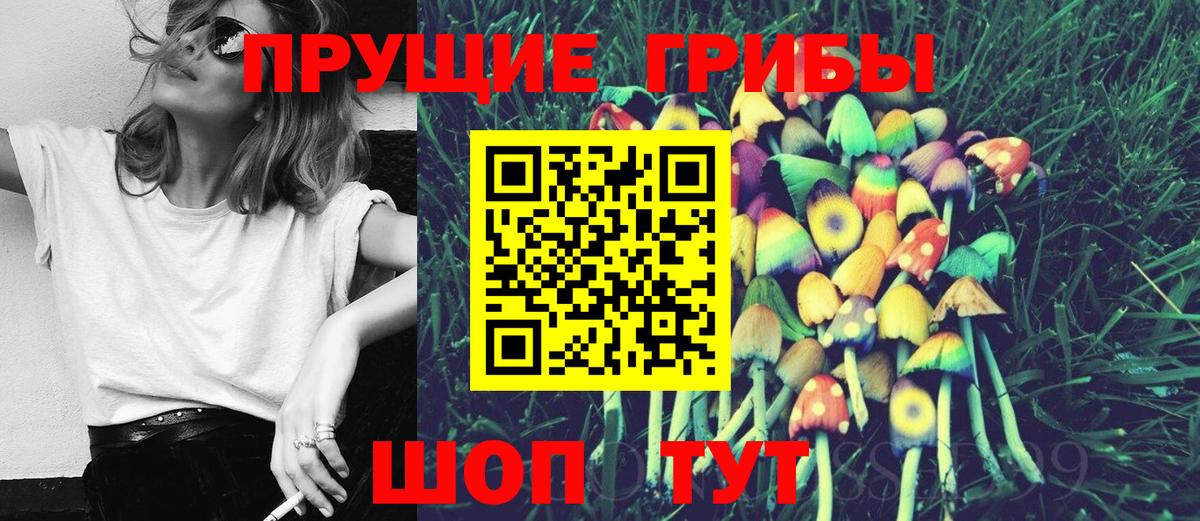 Галлюциногенные грибы Magic Shrooms  Галлюциногенные грибы ЛСД  купить закладку  Владивосток  Вход с VPN 